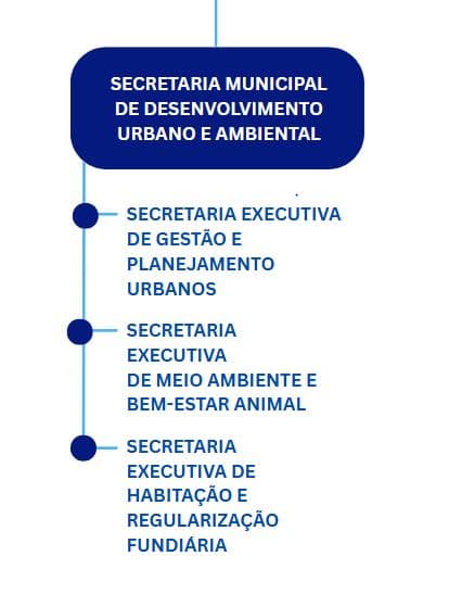 Organograma